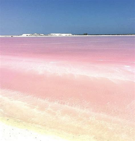 The Pink Ocean Of Los Coloradas Is A Bucket List Must! - Indie88