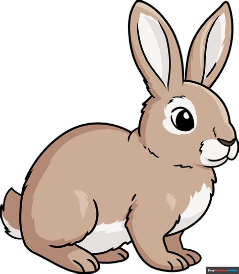 Rabbit Drawings For Kids