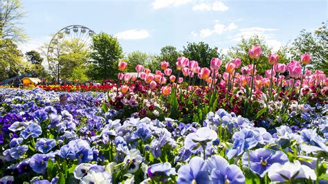 Floriade! - Stellar Experiences