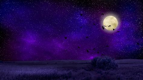 full moon, starry sky, birds, night, photoshop, 4k HD Wallpaper