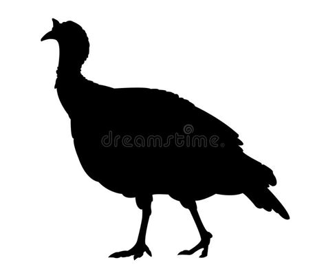 Turkey Silhouette Stock Illustrations – 19,294 Turkey Silhouette Stock ...