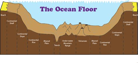 Diagram of the Ocean Floor