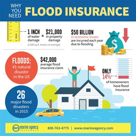 Why You Need Flood Insurance [Infographic] - Marine Agency