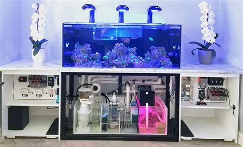 150 Gallon Tank Teardown Selling all equipment | Reef2Reef