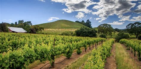 The 10 Best Wineries in Sonoma Valley to Visit - Choice Wineries