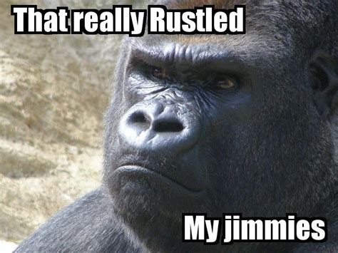 [Image - 249839] | That Really Rustled My Jimmies | Know Your Meme