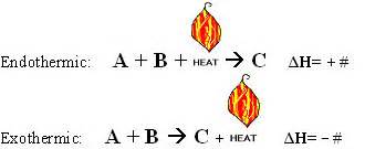 Impressive Endothermic Reaction Example Equation Chemical And Class 10 ...