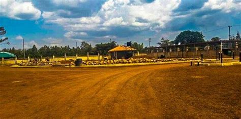 Siaya County Governor's offices 2016, Siaya. The large compound was ...