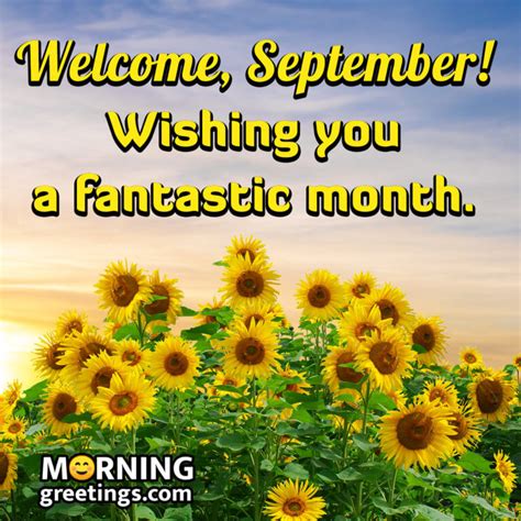 40 Best September Morning Quotes And Wishes - Morning Greetings ...