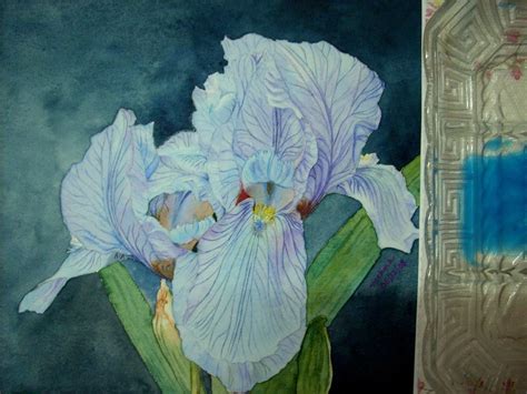 Finished painting of pale blue Iris | Watercolor Journal