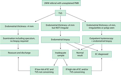 Pathophysiology Of Endometrial Cancer