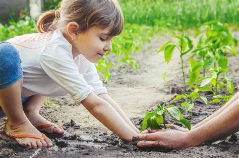 How Gardening Helps Kids Grow: 25 Ways It Benefits Their Development ...