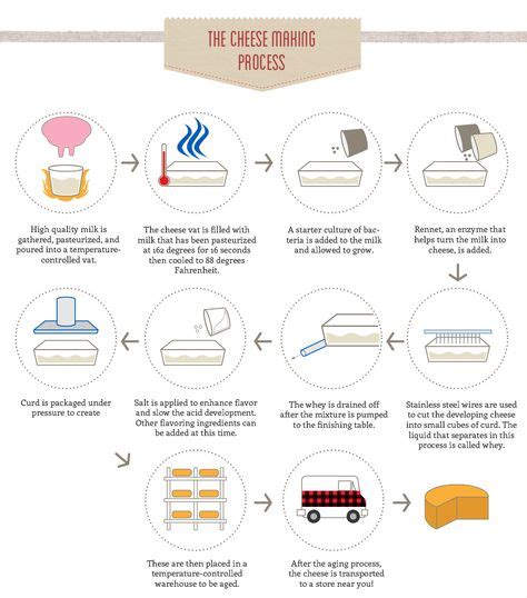 Top 10 cheese making process ideas and inspiration