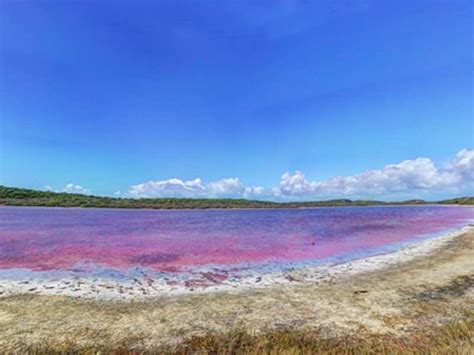 Lake Retba, Senegal | Times of India Travel