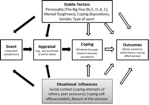 Frontiers | The Influence of the Social Environment Context in Stress ...