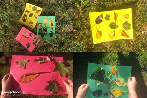 Leaf Collage Craft - Homeschooling Preschool