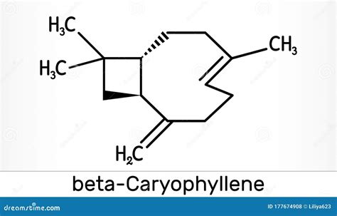 Caryophyllene Molecular Structure, 3d Model Molecule, Bicyclic ...