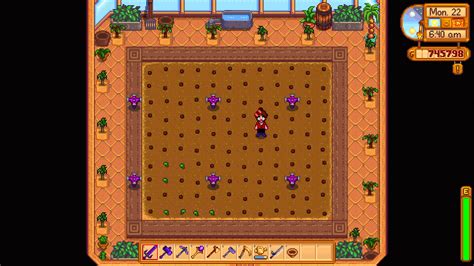 Best Greenhouse Layouts in Stardew Valley: Optimal Production and Profit