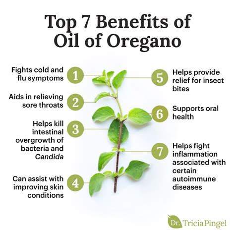 20 Proven Nutritional and Health Benefits of Oregano - How To Ripe