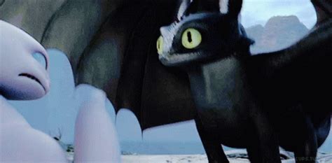 How To Train Your Dragon Toothless GIF - How To Train Your Dragon ...