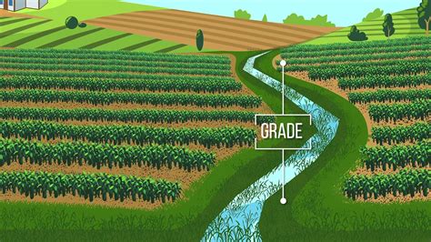 The Role of Soil Conservation in Agriculture: Digging Deep - AGRI TUTORIALS