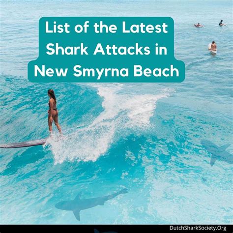 Why New Smyrna Beach Is The Shark Bite Capital Of The World - Dutch ...