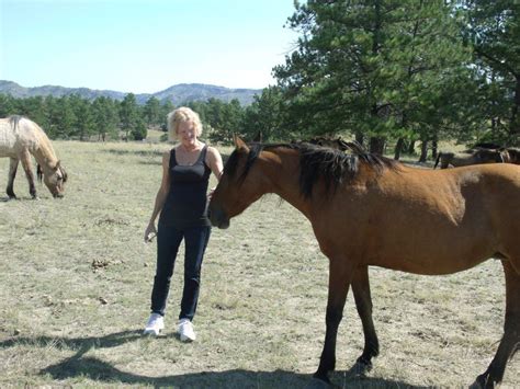 Black Hills Wild Horse Sanctuary | Horses, Wild horses, Black hills