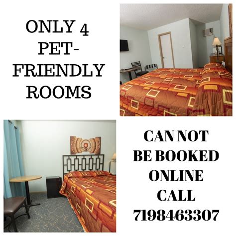 Pet Friendly Room | Tower 64