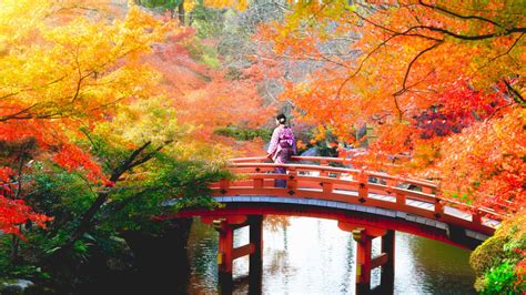 Japan Tours | Best Japan Tours & Package Tours