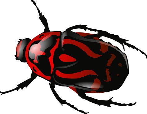 Download Bug, Insect, Beetle. Royalty-Free Vector Graphic - Pixabay