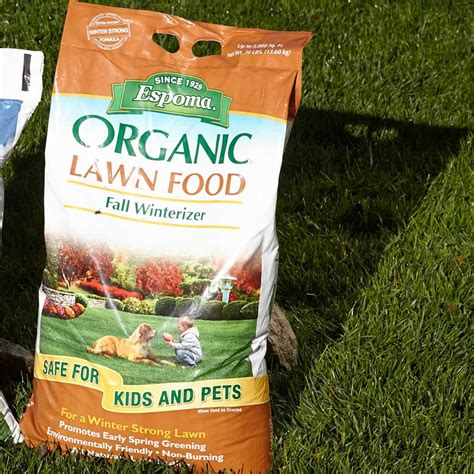 Lawn Fertilizer - Tips for a Beautiful Lawn | Family Handyman