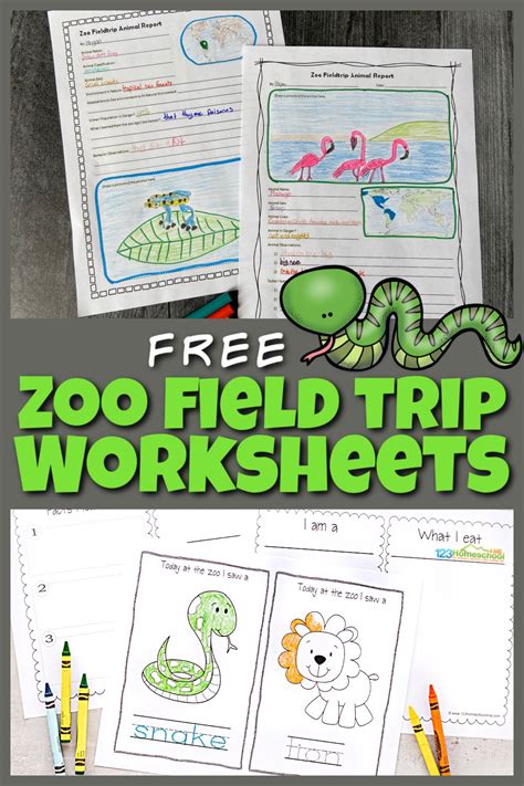 🐘 FREE Zoo Field trip Worksheet and Animal Reports