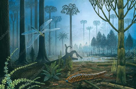 Carboniferous landscape, illustration - Stock Image - C037/2505 ...