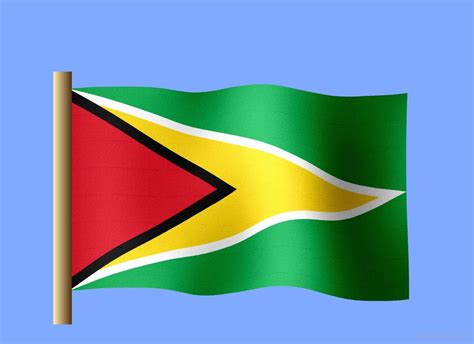 National Flag Of Guyana - RankFlags.com – Collection of Flags