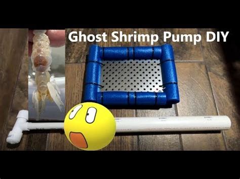 Ghost Shrimp Pump DIY - YouTube