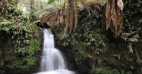 awildland: The Secret Waterfalls of Barrington Tops National Park, NSW