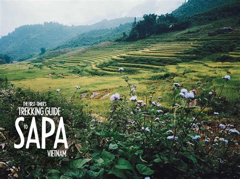 Visit Sapa: Travel Guide to Vietnam | Will Fly for Food