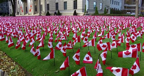 Toronto, Ontario, Canada November 2016 Thousands Of Canadian Flags On ...