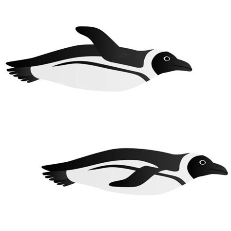 Swimming Penguin Illustrations, Royalty-Free Vector Graphics & Clip Art ...