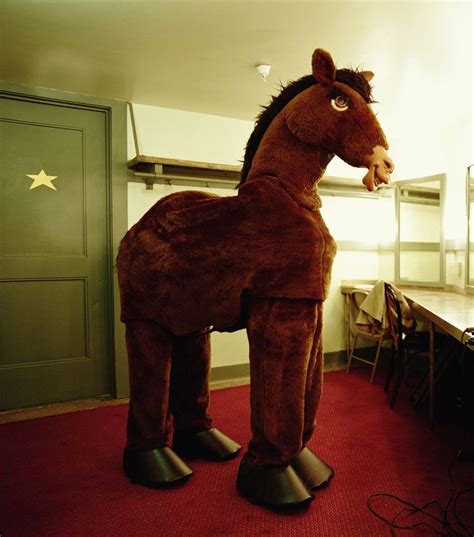 How to make a horse costume for kids | eHow UK | Horse costumes, Kids ...