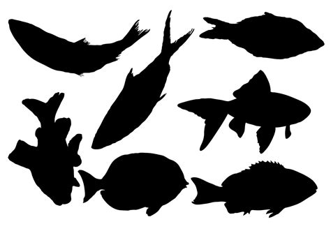 Free Fish Silhouette Vector 99756 Vector Art at Vecteezy