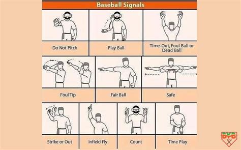 Mastering Baseball Umpire Hand Signals: A Comprehensive Guide [with ...