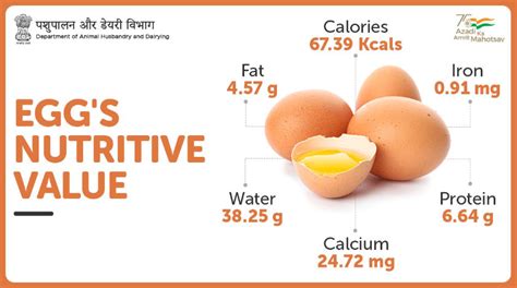 All about eggs — Vikaspedia