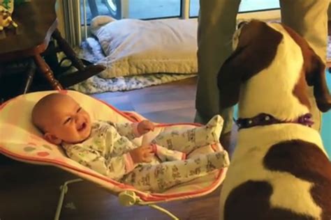 Babies Laughing at Dogs... 'Nuff Said! [VIDEO]