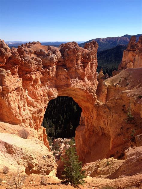 Green_Trails: Bryce Canyon // Hoodoos // Navajo Country