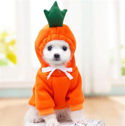 Pet Costume Dog Cat Halloween Costume Funny Pet Costumes - Etsy