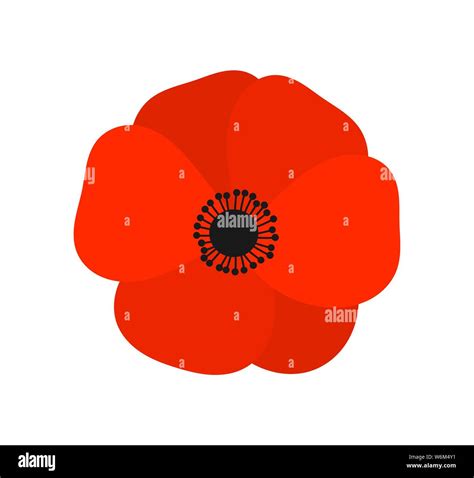 Red poppy flower. Vector illustration Stock Vector Image & Art - Alamy