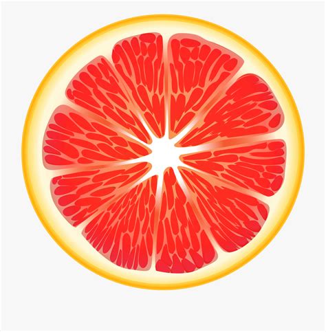 clipart grapefruit 20 free Cliparts | Download images on Clipground 2024