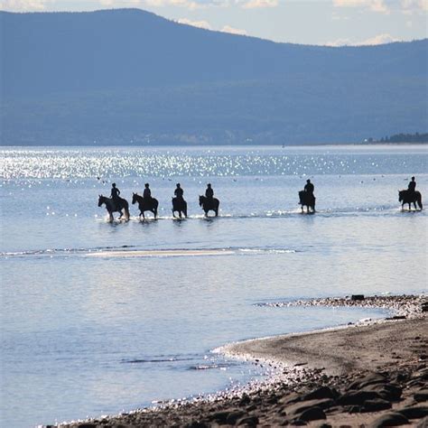 Gaspe, Quebec 2024: Best Places to Visit - Tripadvisor