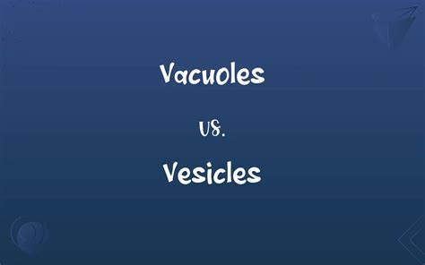 Vacuoles vs. Vesicles: What’s the Difference?